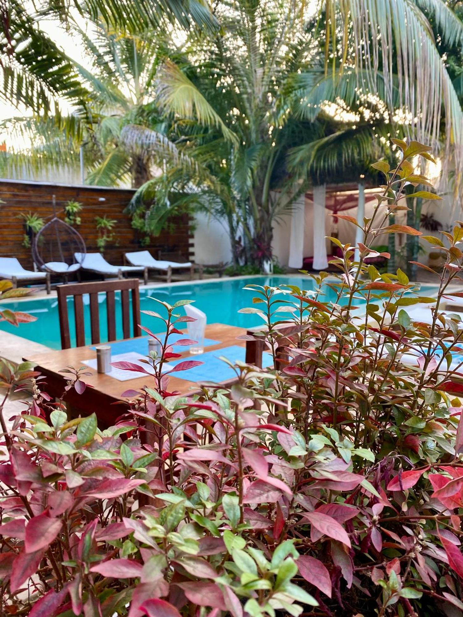 Cezere The Palm Hotel Paje Εξωτερικό φωτογραφία