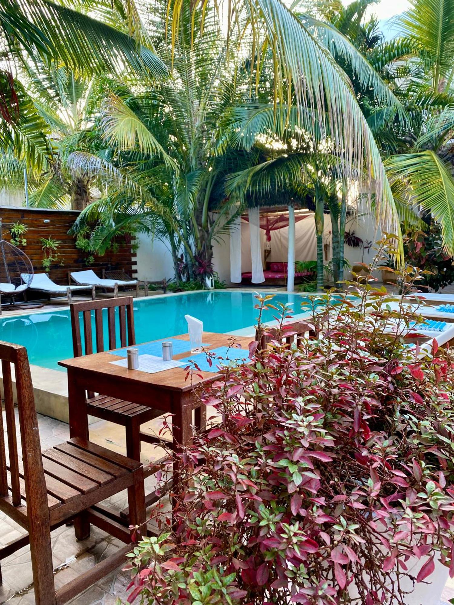 Cezere The Palm Hotel Paje Εξωτερικό φωτογραφία